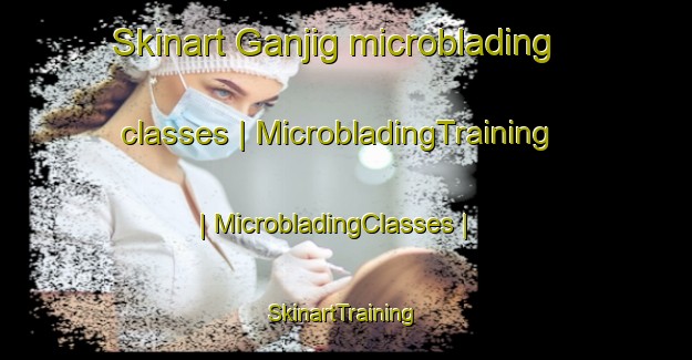 Skinart Ganjig microblading classes | MicrobladingTraining | MicrobladingClasses | SkinartTraining-China